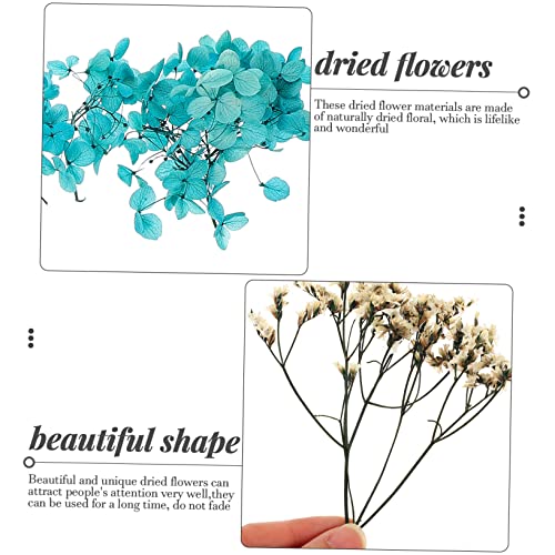 Flores secas naturales para manualidades y decoración miniatura 7