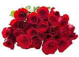 Blooms2Door PRIME NEXT DAY DELIVERY - Mother’s Day Collection - - 25 Red Roses (Farm-Fresh - 50cm) - Farm Direct Wholesale Fresh .Gift for Birthday, Sympathy, Anniversary, Mother’s Day Fresh Flowers