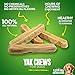 EcoKind Premium Gold Yak Cheese Himalayan Dog Chews, Dog Treats Large Breed, All Natural, High Protein, for Aggressive Chewers, Large - 20+ Chews (5 lb)