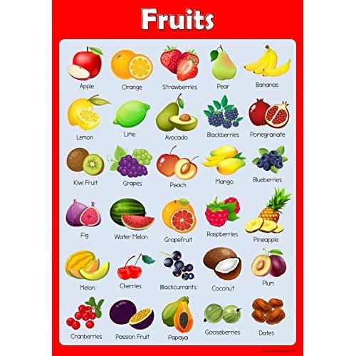 Fruit Chart For Kids Handmade 
