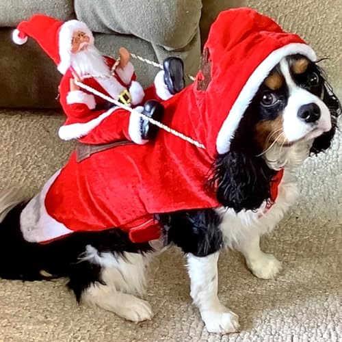 Mfsdai Hund Weihnachtskostüm, Santa Reiten Kleidung Hundekostüm, Hundepullover Mantel Weihnachten Rot für Kleine Mittel Große Hunde Katzen XL