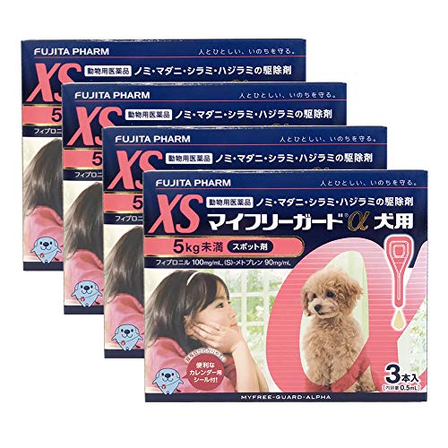 y4Zbgz}Ct[K[h p XS 5kg 3{ypiz