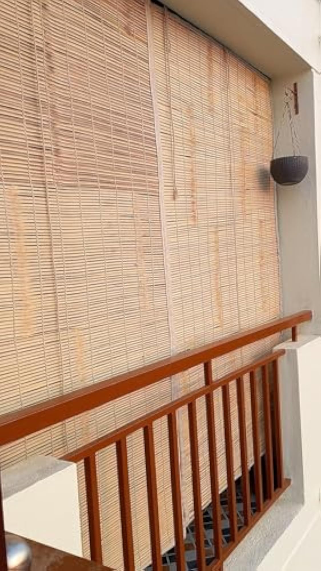 Natural Reed Blind, 3x9 Feet