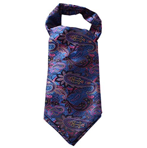 HISDERN Men's Ascot Floral Paisley Jacquard Woven Cravat Tie Pink/Blue