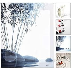 Estores Infantiles Originales Blindecor Estor enrollable translúcido digital, Zen,W-Z-47466,150X180 cm