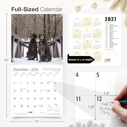 Image of RED EMBER German Shorthaired Pointers 2026 Wall Calendar 12 Month | 12 inch x 24 inch Open | Thick & Sturdy Paper | Giftable| Cute GSP Puppy Dog Calendar 2026
