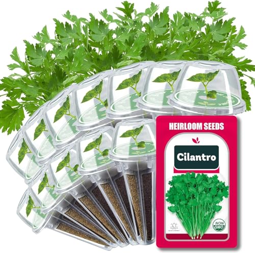 Cilantro Seed Pods for All Hydroponics Growing Systems, 12 Pods Herb Kit with 200+ Seeds of Cilantro, Grow Your Own Herb Garden at Home