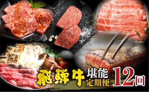 [まるごと定期便]飛騨牛堪能 12回 定期便 | 飛騨牛 和牛 国産牛 黒毛和牛 12ヶ月 1年 12回 年間 牛肉 すき焼き しゃぶしゃぶ ステーキ 切落し 切り落とし 焼肉 やきにく BBQ バーベキュー 赤身 霜降り 食べ比べ 冷凍 冷蔵