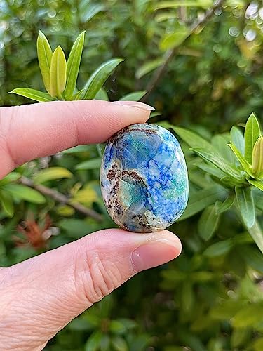 Image of GAF TREASURES 1 /2 LB Azurite Malachite Tumbled Stones, Polished Natural Azurite Malachite Gemstone, Azurite Malachite Healing Crystals (Azurite Malachite)