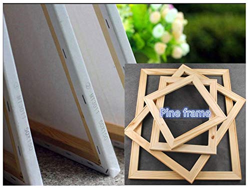 DIY Solid Wood Canvas Frame Kit 16 x20 Inch for Oil Painting & Wall Art Wooden Art Frames for Paintings & Canvases - Easy to Build Canvas Stretching System - Framed Picture Accessories (16\'\'20\'\')