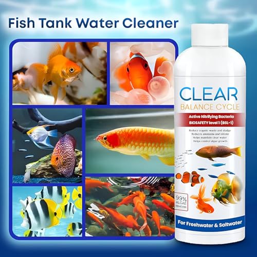 Image of Beyond Fill Fish Tank Water Cleaner Suitable for Fresh Water | Cloudy Water Remover for Crystal Clear Aquarium Water| Cleaner Balance Cycle for Fish Tank (Pack of 1 (100ml))