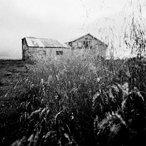 You Stood Up For Victory,We Stood Up