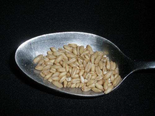 Whole Oats 5 Pounds Hulled, Groats, Usda Certified Organic Non-Gmo Bulk, Mulberry Lane Farms #TOP4