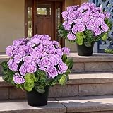 Tobilu 2 Sets Artificial Flowers Potted for Outdoor, Pre-Potted, Purple