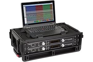 SKB SKB-2SKB-4814W Injection Molded Waterproof 2U Studio Flyer Rack Case