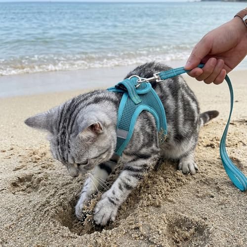 Image of HEYWEAN Cat Harness and Leash - Ultra Light Escape Proof Kitten Collar Cat Walking Jacket with Running Cushioning Soft and Comfortable Suitable for Puppies Rabbits