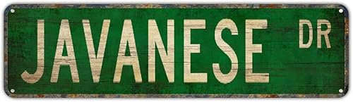 Miniatura 9 de Letreros de metal con diseño de auto mecánico DR, divertidos letreros de metal vintage, letreros de metal retro para dormitorio, cocina, jardín