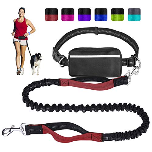 Hands Free Dog Leash for Running Walking Training Hiking, Dual-Handle Reflective Bungee, Poop