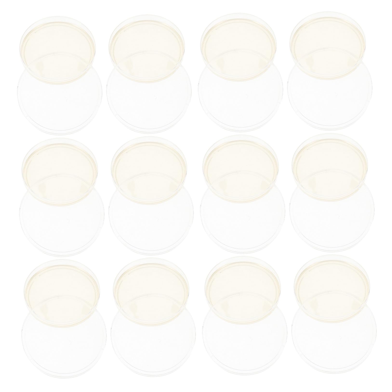 CLISPEED Placas de Agar Nutritivo para Laboratorio de 9 CM, 20 Placas de Petri de Plástico Estériles Tapa para Cultivo de Hongos y Experimentos Científicos