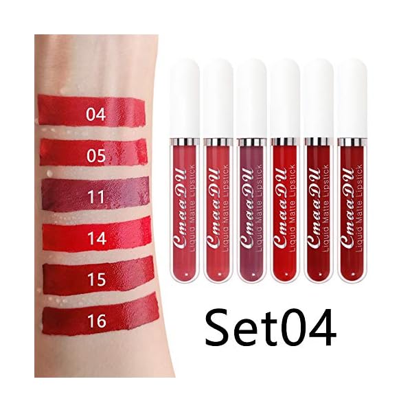 evpct CmaaDu 6Pcs Lipstick Matte Liquid Lipstick Lipgloss Set for Women, Dark Deep Bright Ruby Sexy Brick Red Mauve labiales mate 24 horas originales matte larga duracion 24 Hour Lipstick Long Lasting