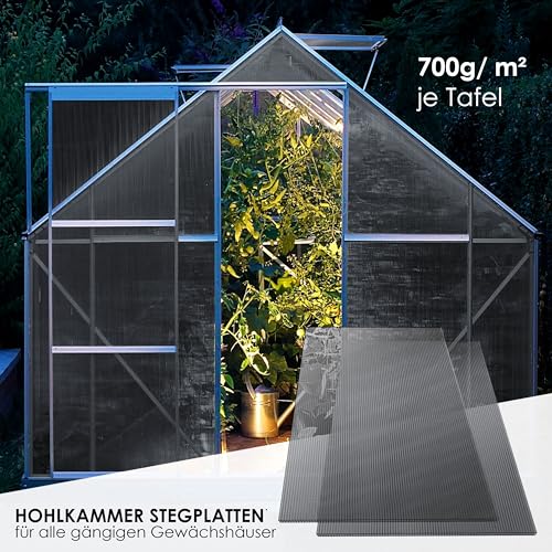 Produktbild von Doppelstegplatten 6mm TEOV Polycarbonat Gewächshausplatten - 10 Stück, 121x60,5 Cm (4mm) Platten Für Gewächshaus