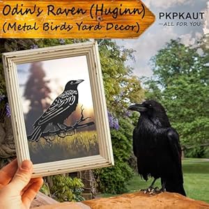 Metalbirdsyarddecorforoutdoormetalyardartoutdoorandgardendecorationsmetalodinsravenstatueoutdoordecorgiftsforwomen Urban Country Home Decor Metal birds yard decor for outdoor metal yard art outdoor and garden decorations metal odins raven statue outdoor decor gifts for women urban country home decor