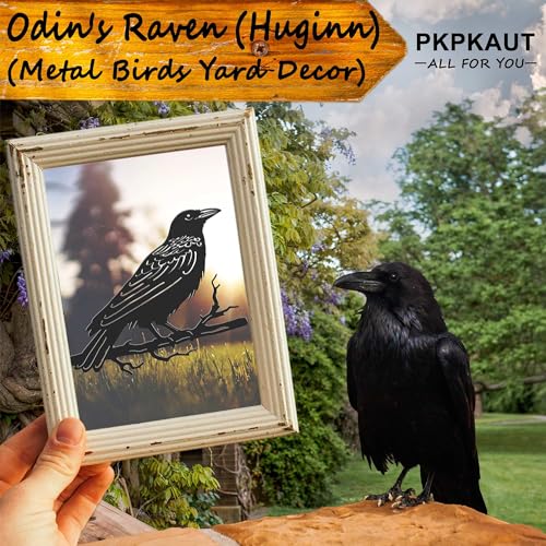Metalbirdsyarddecorforoutdoormetalyardartoutdoorandgardendecorationsmetalodinsravenstatueoutdoordecorgiftsforwomen Urban Country Home Decor Metal birds yard decor for outdoor metal yard art outdoor and garden decorations metal odins raven statue outdoor decor gifts for women urban country home decor