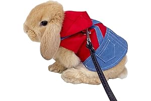 Halloween Costumes for Bunnies: Adorn Your Little Hoppers in Spooky Style