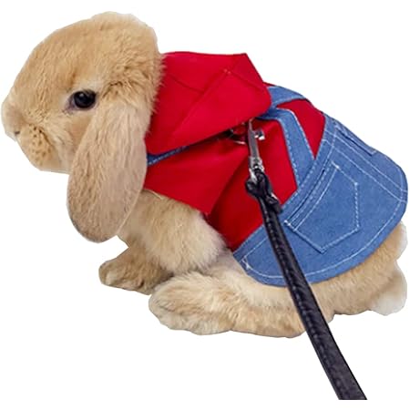 pet rabbit sweater