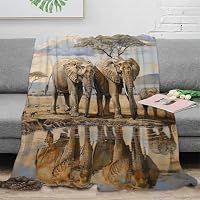 Volontari salvano i cani e gli regalano una morbida coperta: la