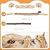 Caticalife 6Pcs Silvervine Sticks for Cats with Catnip Bag, Cat Chew Toys for Teeth Cleaning and Anxiety Relief, Natural Dental Care Kit for Indoor Cats & Kittens #1