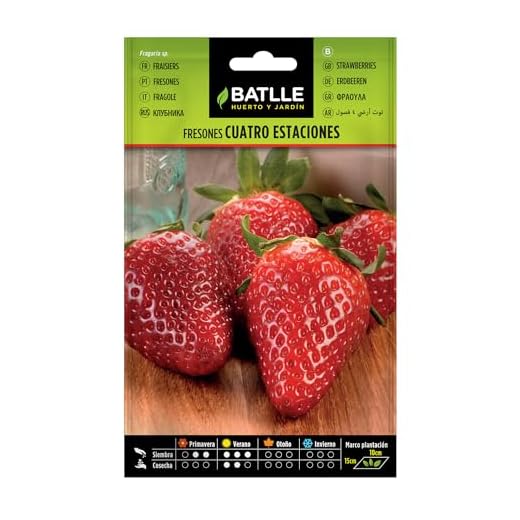 Battle - Semi Aromatici Fragole 4 Stagioni (Piante 10 x15 Cm)