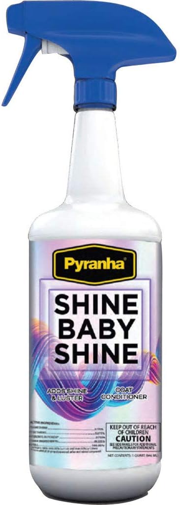 Shine Baby Shine