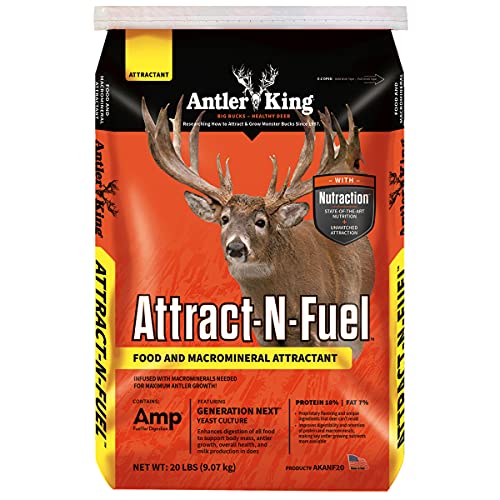 The Best Antler King Deer Mineral For 2022