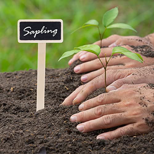 Rmisodo 80 Pieces Mini Wood Chalkboard Stakes Wooden Plant Tags Markers Blackboard Garden Labels Signs Decorative Flower Price Tags For Home Gardening #TOP5