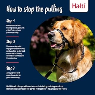 HALTI - Collare a cavezza Per impedire che il cane tiri il guinzaglio, regolabile, leggero, con fascia per il muso imbottita, collareanti-trazione per l’addestramento di cani grandi (Taglia 5, Nero)