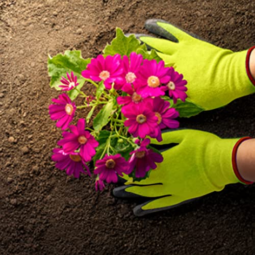 TrustBasket Reusable,Heavy Duty Garden Hand Gloves 2 Count (Pack Of 1) Parrot Green