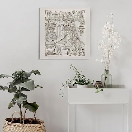 Antique Chicago Map - Retro Cook County Map Print, Minimalist Chicago Map Poster Decorative Painting Canvas Wall Art Living Room Posters Bedroom Painting 16X16Inch(40X40Cm) 35.0 #TOP3
