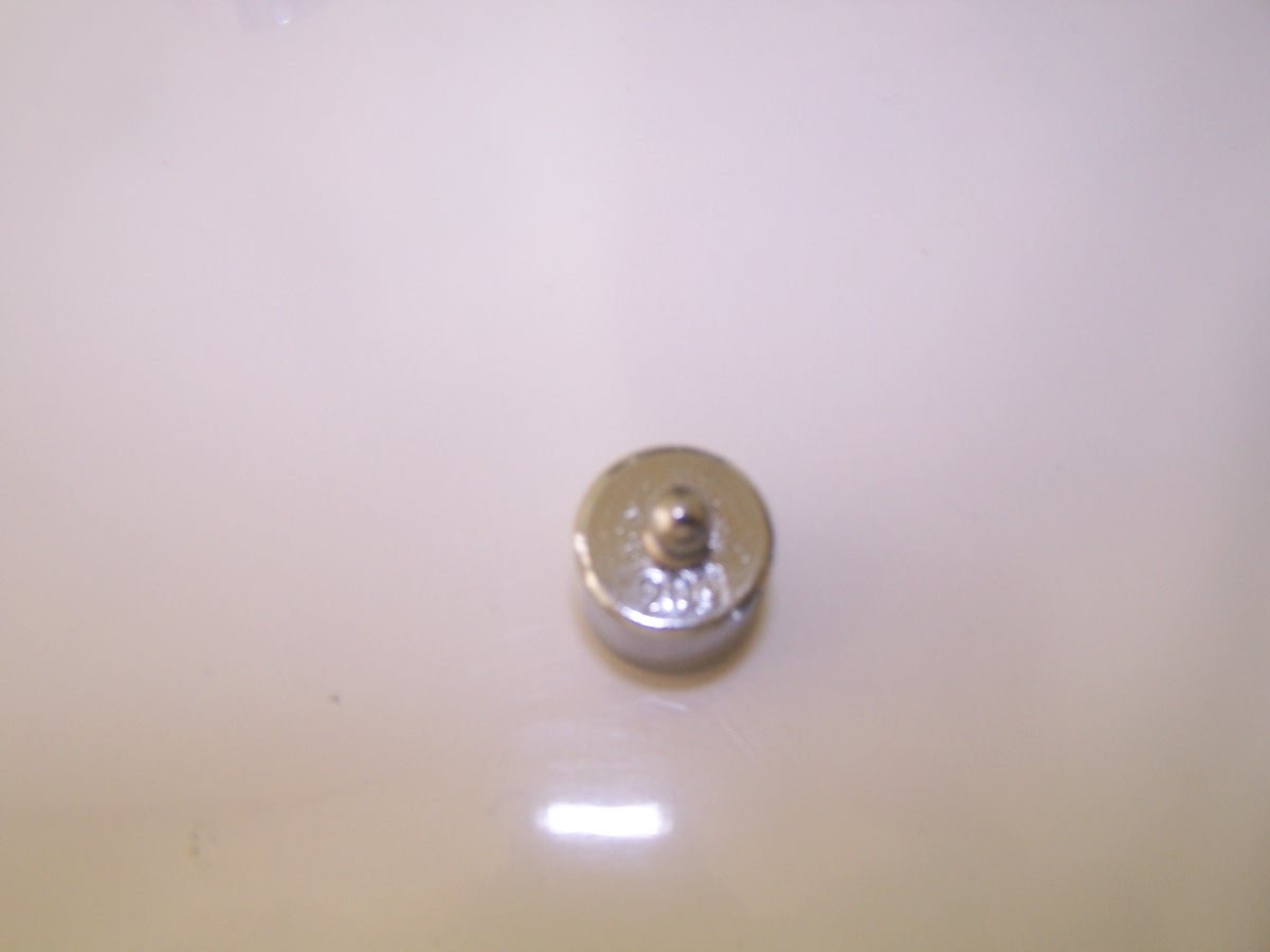 20 Gram weight for Calibration