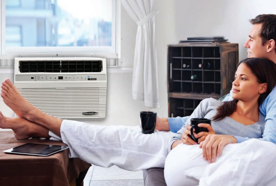 Image of Soleus Air 10,000 BTU Over-the Sill Saddle Hybrid Air Conditioner w /Heat: Wi-Fi Enabled, Quiet Operation, Window View Friendly (Up to 12.5 inch Sill Width)