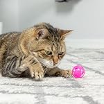SPOT Slotted Balls Cat Toy - Interactive Cat Toys for Indoor Cats to Chase, Hunt and Stimulate - Jingle Bell Inside for Sound When Batted Around - Safe and Non-Toxic - 1.5" Assorted 4-Pack - Image 2