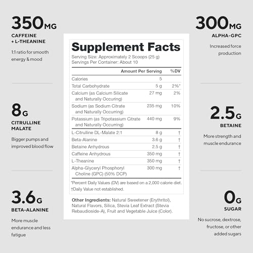 Image of Legion Pulse Pre Workout Supplement - All Natural Nitric Oxide Preworkout Drink to Boost Energy, Creatine Free, Naturally Sweetened, Beta Alanine, Citrulline, Alpha GPC (10 Serving Fruit Punch)