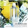 Christian Dior Spray de Colonia para Hombre, Dior Homme, 4.2 Onza Afrutado 4.2 Fl Oz (Paquete de 1) 4
