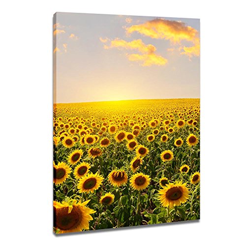 DVQ ART- Sunflower with Sunset Wall Art Painting, Beautiful Landscape