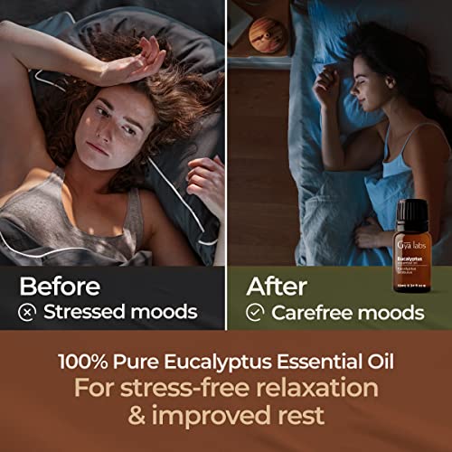 Gya Labs Eucalyptus Essential Oil (10Ml) - 100% Pure Therapeutic Grade Eucalyptus Oil Essential Oils For Diffuser, Skin, Humidifier, Sinus & Hair #TOP2