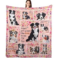 Australian Shepherd 01