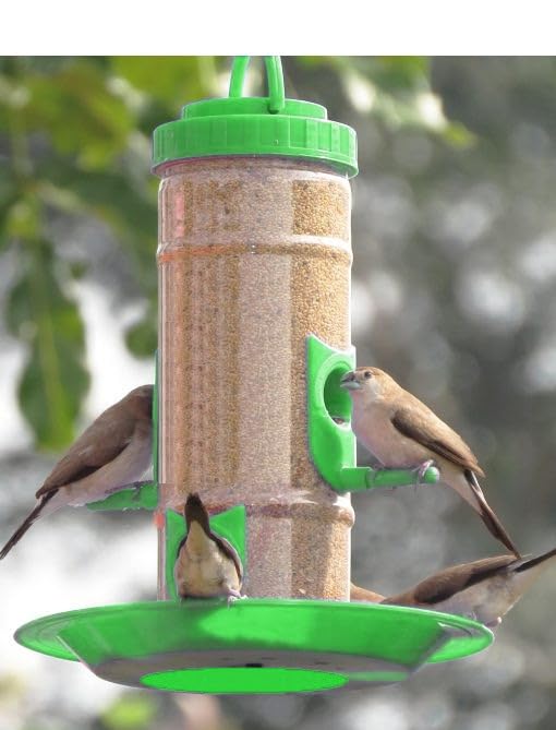 See full amazon price history chart for Bird Food Feeder Round Shape Made by eco Green Plastic Pack of 2 Bird Food Feeder Round Shape Made by eco Green Plastic Pack of 2 (B0CL9YB9V5) Amazon Price History, Amazon Price Tracker