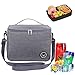 Glaciere Isotherme,Sac-Glacière Cooler Bag,Imperméable Pliable Lunch Bag ,Sac de Repas pour Déjeuner/Travail/Ecole/Plage/Pique-Nique (Gris)