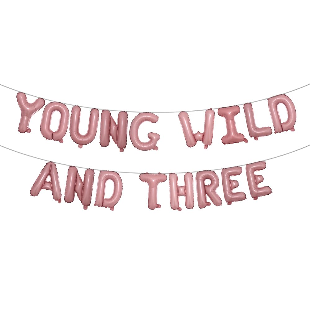 RUIANSI Young Wild and Three Balloon Banner for Boy Girl Third Birthday Decorations - 3 Year Old Birthday Decor (Pink)