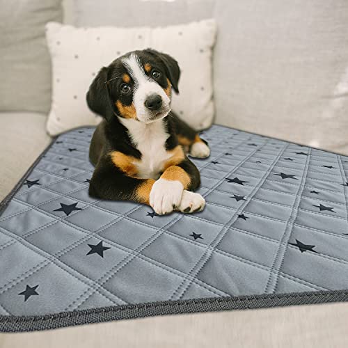 Image of RIOUSSI Washable Pee Pads for Dogs, Reusable, Absorbent, Leakproof, Non Slip Pet Puppy Pads for Potty Training. Gray Stars, 36x41 Inch(2pack)